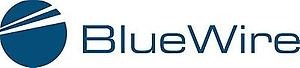 BluePoint_Logo